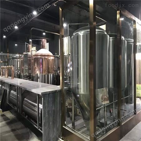 广东300升自酿啤酒设备 酿酒机器