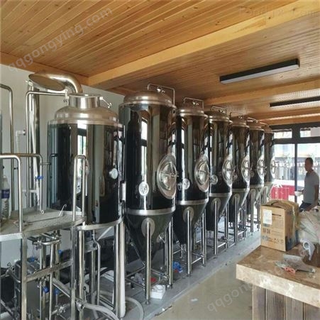 山西300升自酿啤酒设备 酿酒机器