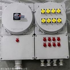 AL照明防爆配电箱BXM54-8/16K125防爆配电箱配电柜