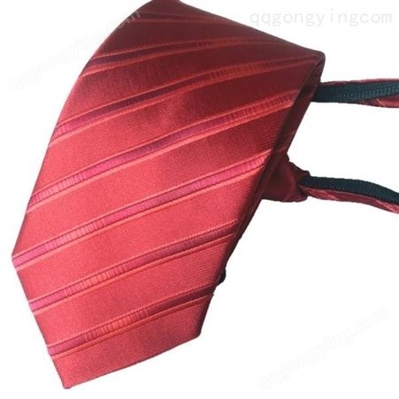 领带 标记LOGO定制领带 长期供应 和林服饰