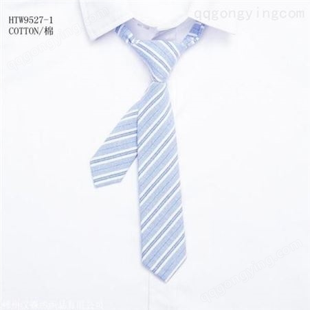 领带 百搭工装衬衫时尚小领带 现货可定制 和林服饰