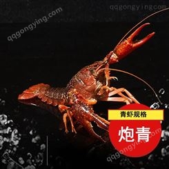 洪湖小龙虾批发炮青青虾2021年11月小龙虾批发价46元每斤