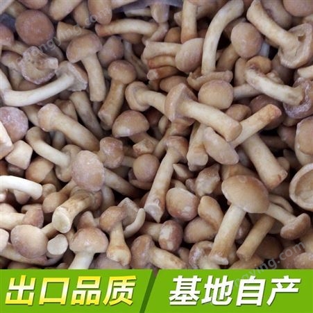 速冻IQF滑子菇混合菇 蘑菇 食用菌 冷冻食品成品供应