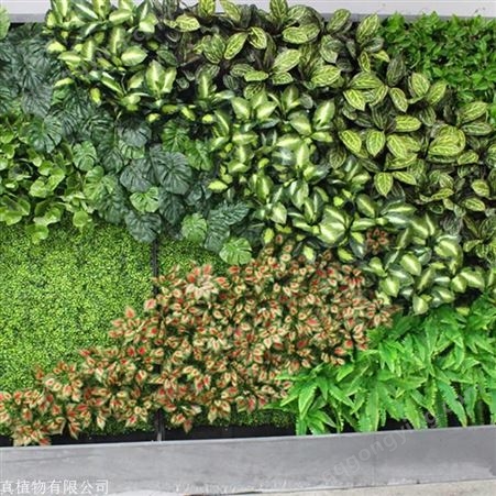 西安租赁绿植公司 人造绿植墙 植物照片墙 景观设计室内墙壁装饰