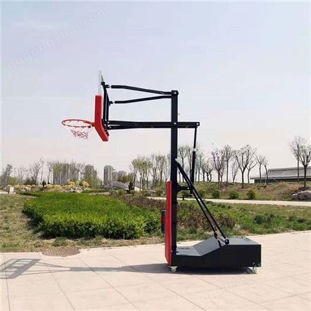 泰昌儿童篮球架 儿童可升降篮球架 室内外篮球架厂家