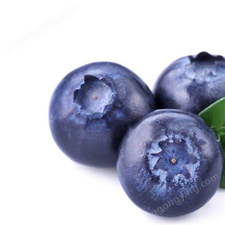 蓝莓浓缩汁 餐饮果汁果酱饮料原料食品保健天然花青素大包装