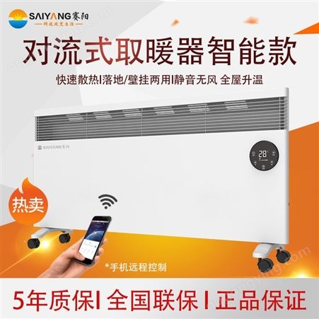 赛阳SY-25DL 取暖器家用对流式电暖气可壁挂节能省电速热客厅取暖