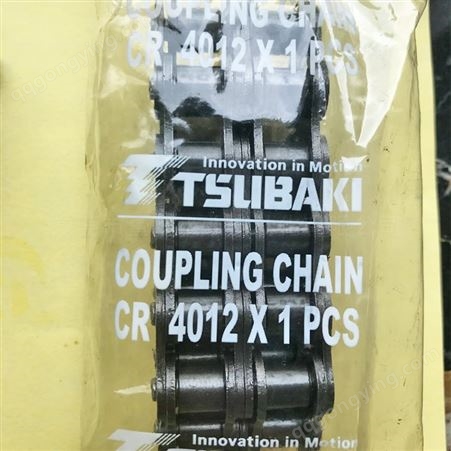 日本TSUBAKI椿本双列滚子链条卷挂形联轴器本体CR4012H
