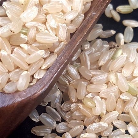 和粮农业 溢田 有机糙米 五谷杂粮精选糙米熬粥精选批发