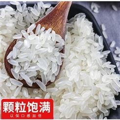五常大米批发 稻花香2号水稻报价 OEM代加工贴牌厂家价格 民乐朝鲜族乡 和粮农业
