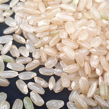 和粮农业 溢田 有机糙米 五谷杂粮精选糙米熬粥精选批发