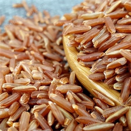 红米 有机红米红大米五谷杂粮粗粮农家自产红稻米黑龙江特产杂粮出口企业-和粮农业