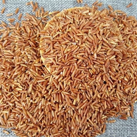 红米 有机红米红大米五谷杂粮粗粮农家自产红稻米黑龙江特产杂粮出口企业-和粮农业