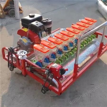 汽油机170小颗粒牧草精播机 手推式蔬菜播种机免间苗种植机