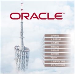 ORACLE数据库甲骨文数据库oracle标准版数据库软件
