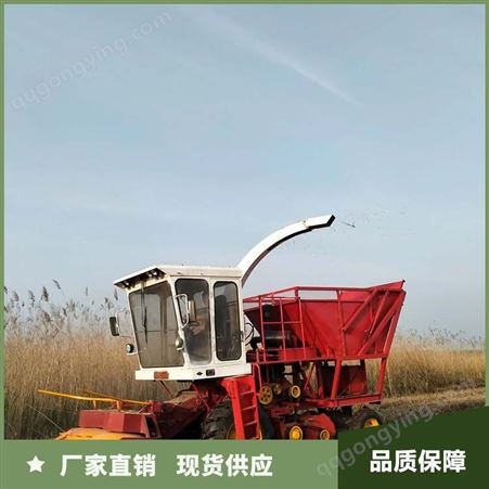 轮式青储机 双转盘 玉米田地用 喂入量大 智佳农机