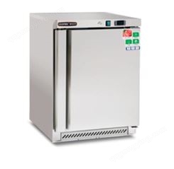 宏新厨具 大容量冰柜家用商用节能 冰立方BC200