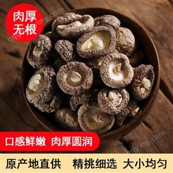 云耳牌云南椴木香菇干货冬菇小香菇干香菇菌类煲汤特产