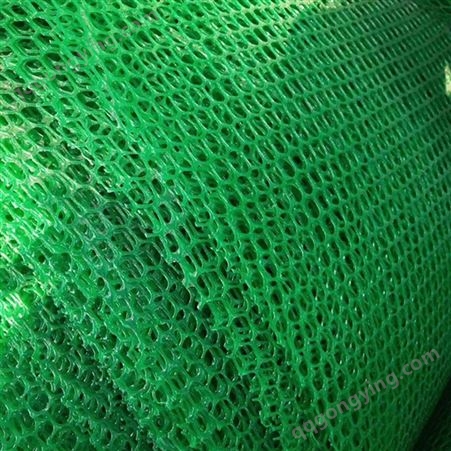 三维土工网垫 客土喷播 绿化护坡用绿色土工网 防止水土流失 经久耐用