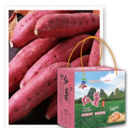 批发果蔬红薯地瓜番薯 个大味美蜜薯厂家定制 陕 西西 安
