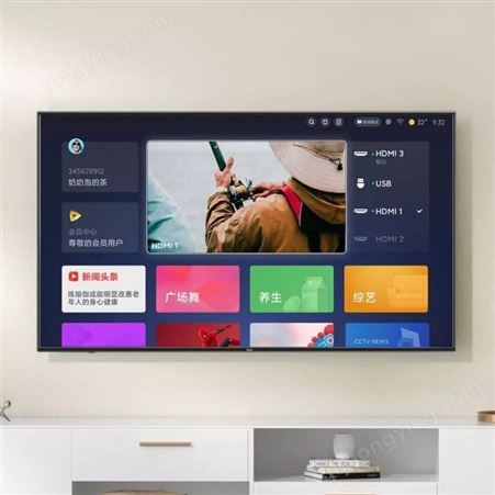 小米（MI）电视Redmi A55英寸4K超高清智能WiFi网络液晶支持团购
