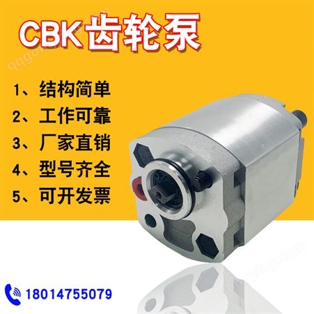 CBK齿轮泵CBK-F2.1/F2.5/3.2/4.8/6.8/7举升机动力单元微型齿轮泵