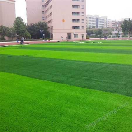 足球场人造草坪 室外门球场草坪浩 盛接工程加设计包工包料