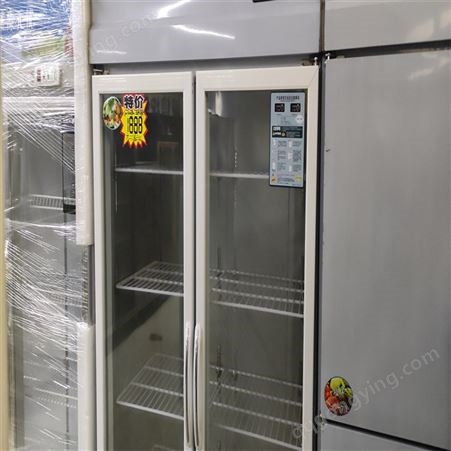 双门冰箱 商用冷藏展示冰柜 立式大容量蔬菜水果保鲜柜