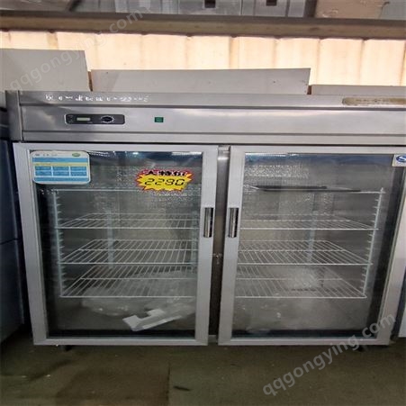 大二门冷藏展示柜 商用立式饮料柜 大容量点菜柜 串串保鲜冰柜
