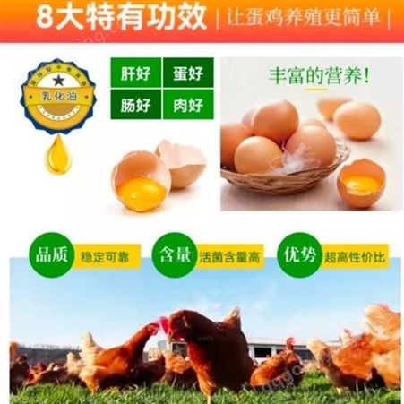 蛋鸡开产添加发酵辣椒粕有意想不到的效果 辣椒粕发酵