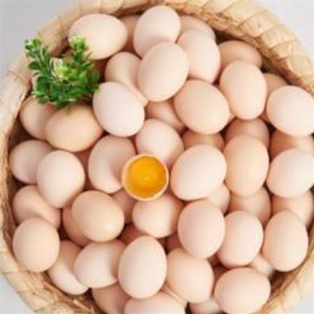 蛋鸡辣椒油粉蛋鸡长期用鸡蛋会有怎样的改善
