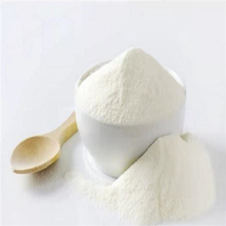 大米蛋白粉80% 水解蛋白 食品级食品 20公斤每袋