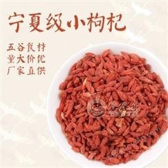 红枸杞小颗粒 谷谷乐 供应新货 免洗不染色 泡茶磨房原料