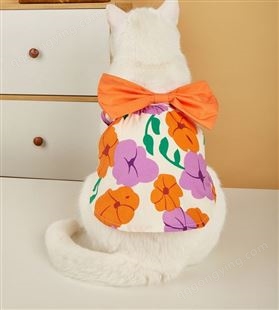 猫咪衣服蝴蝶结大花朵连衣裙彩色拼接裙子夏季薄款宠物猫猫公主裙