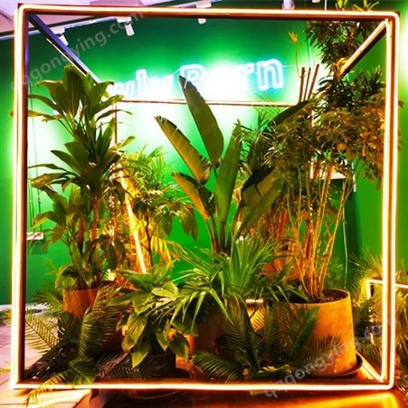 仿真植物 大型立体氛围造景假绿植装饰 无异味提供安装