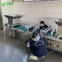 220V自动种植机 辣椒蔬菜穴盘育苗机 油菜种子穴盘培育机
